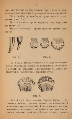 Иловайский С.К. Лошадь скаковая, верховая, рысистая, упряжная и тяжеловозная. М.: Тип. Н.Н. Булгакова, 1900.